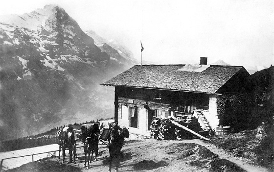 Das Berghotel «Waldspitz» der Geschwister Steuri am Weg zum Faulhorn im Sommer. Bald war es soweit: Es wurde 1904/05 auch im Winter geöffnet, ebenso die «Grosse Scheidegg» von Wirt Schlegel und das Berghaus «Männlichen» von Wirt Anneler. Da freuten sich unternehmungslustige Skifahrer.